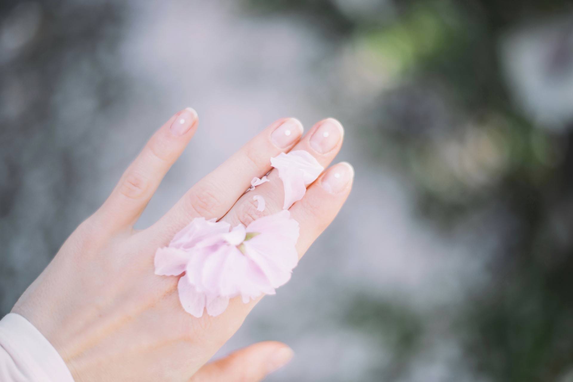 A close-up of a hand with light pink nails, gently holding delicate pale pink flower petals against a soft, blurred background.