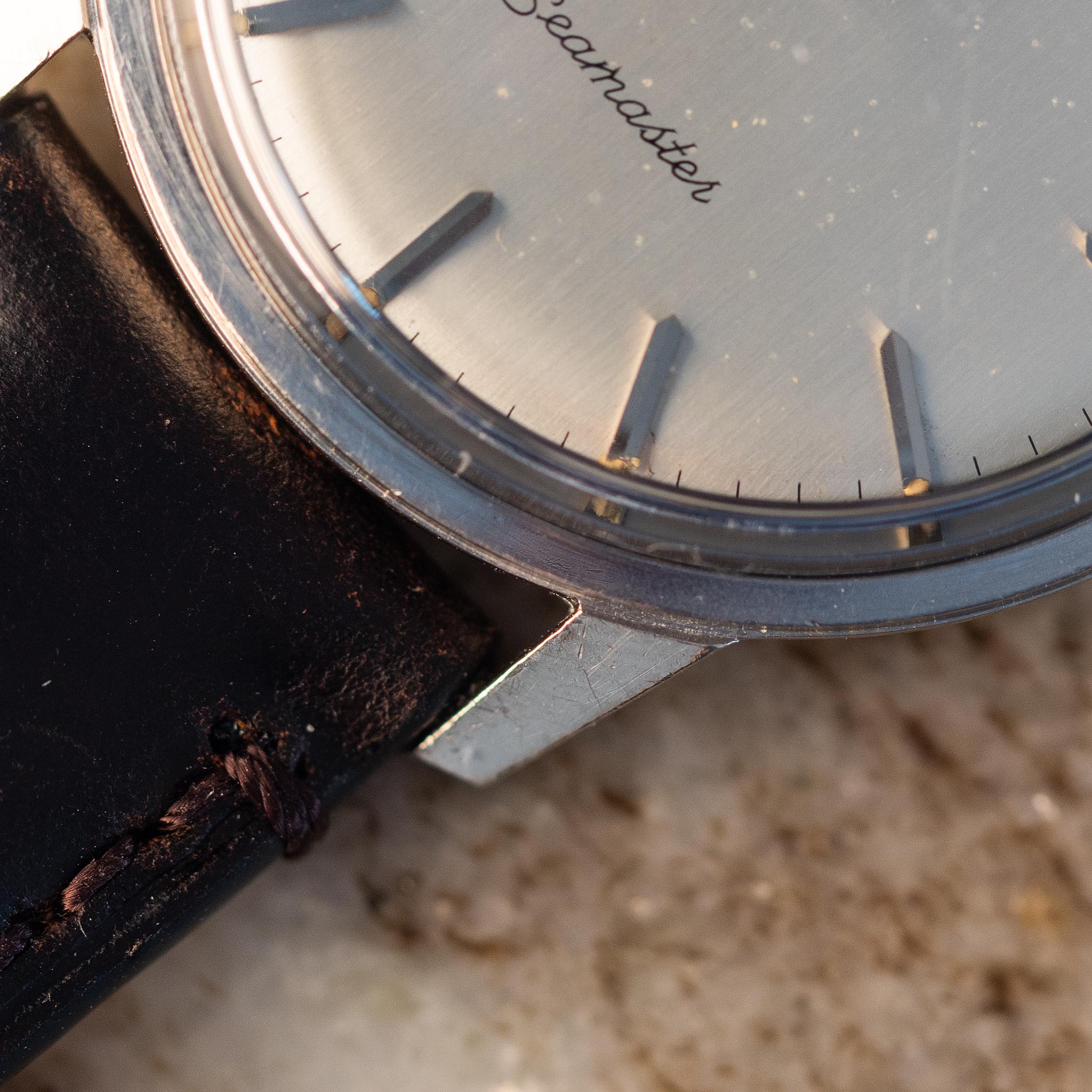 Detailed angled view of the Omega Seamaster Türler showing the cleaned stainless-steel case, lug geometry, silver dial and dark leather strap.
